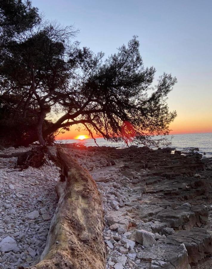 Apartment Enis Barbariga Εξωτερικό φωτογραφία