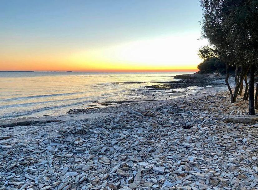 Apartment Enis Barbariga Εξωτερικό φωτογραφία