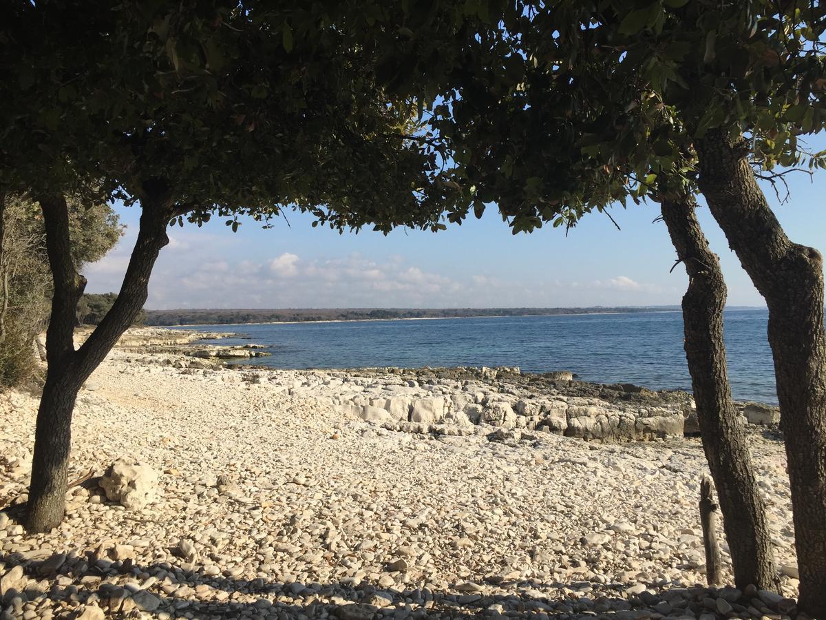 Apartment Enis Barbariga Εξωτερικό φωτογραφία