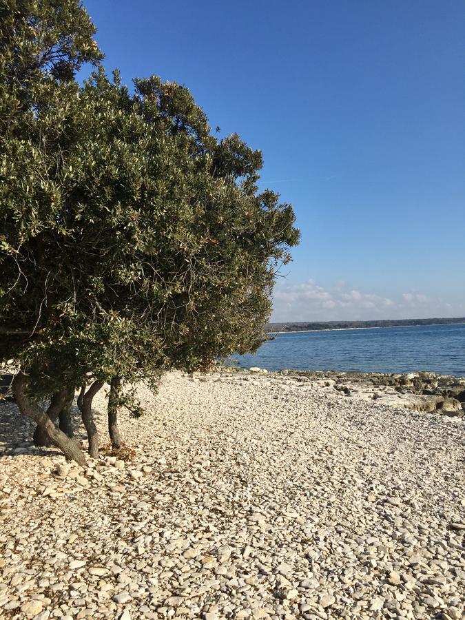 Apartment Enis Barbariga Εξωτερικό φωτογραφία