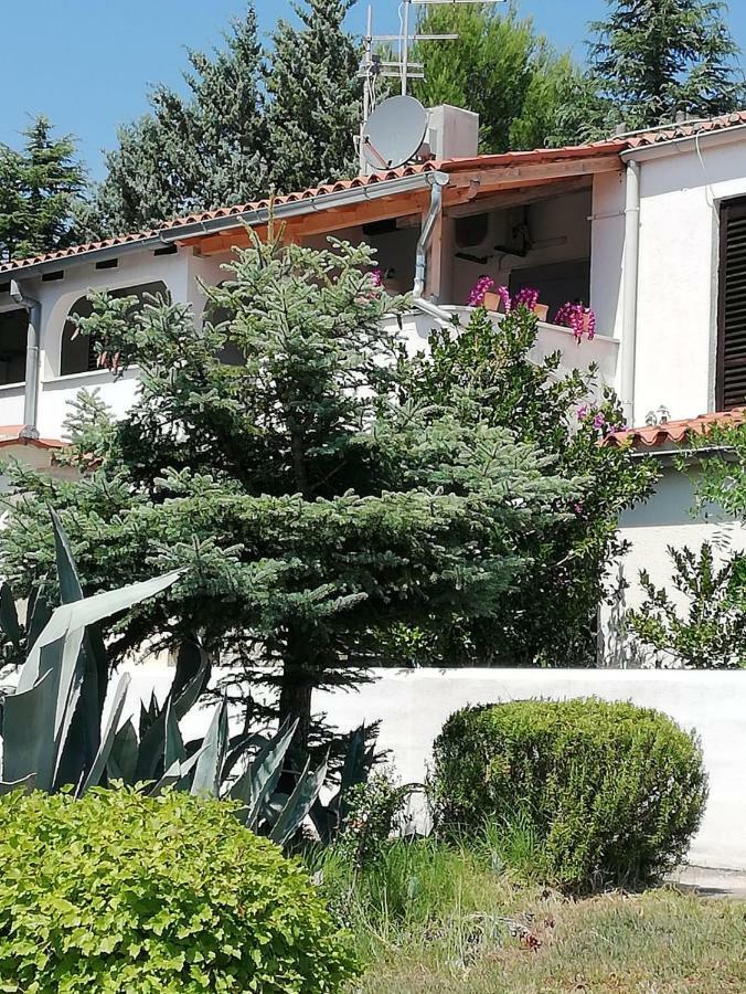 Apartment Enis Barbariga Εξωτερικό φωτογραφία